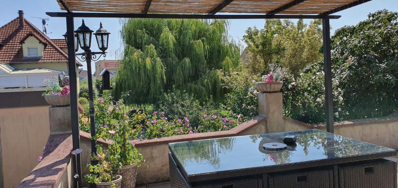 Maison De Vacances Avec Piscine, Proche Strasbourg Et Europa Park Sand Екстериор снимка