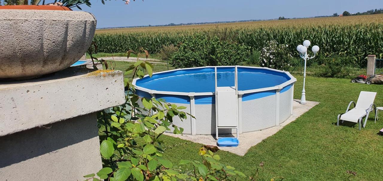 Maison De Vacances Avec Piscine, Proche Strasbourg Et Europa Park Sand Екстериор снимка